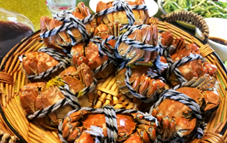 “陽澄湖大閘蟹”：正品尚未開捕 “李鬼”蟹已上市